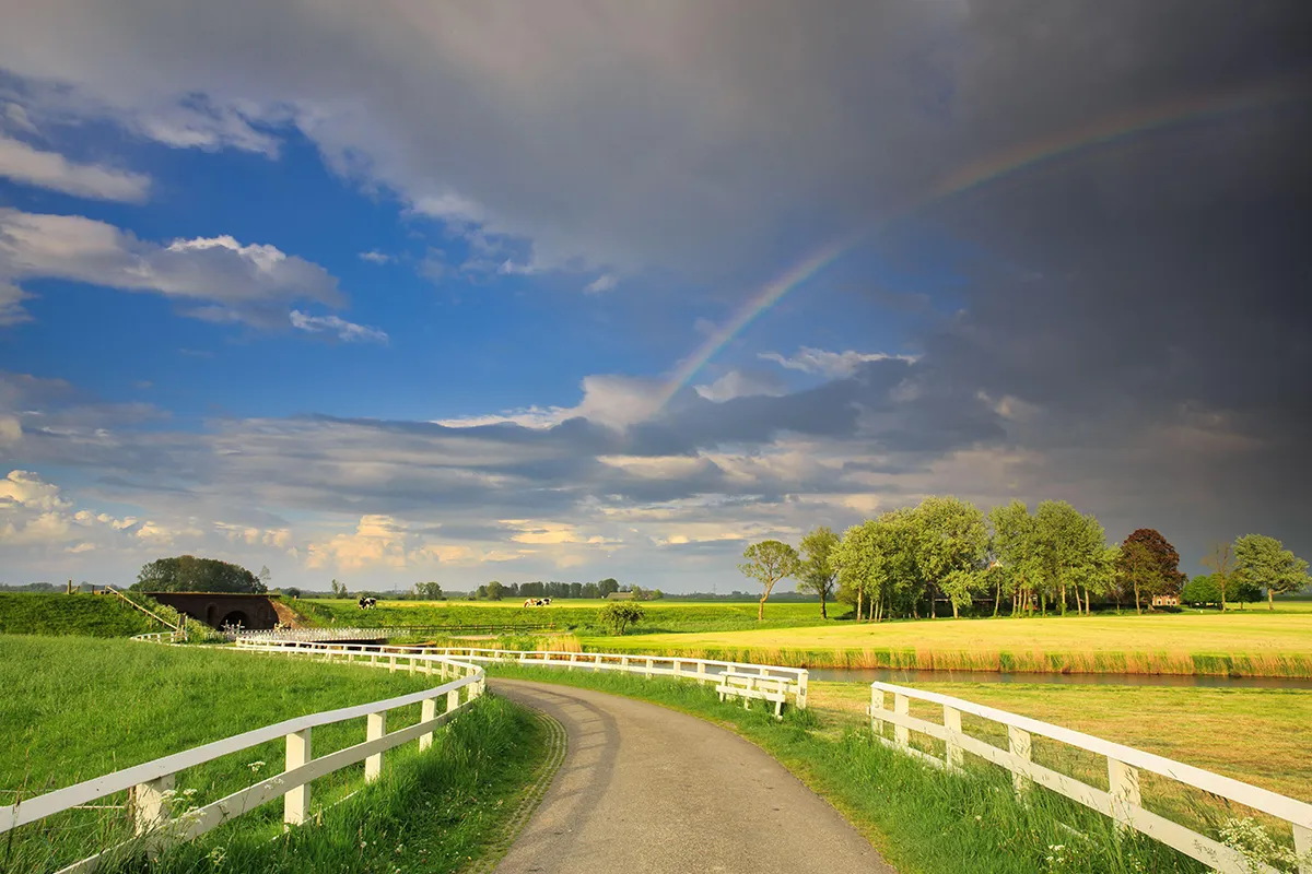 Landweg met groene velden en een blauwe lucht